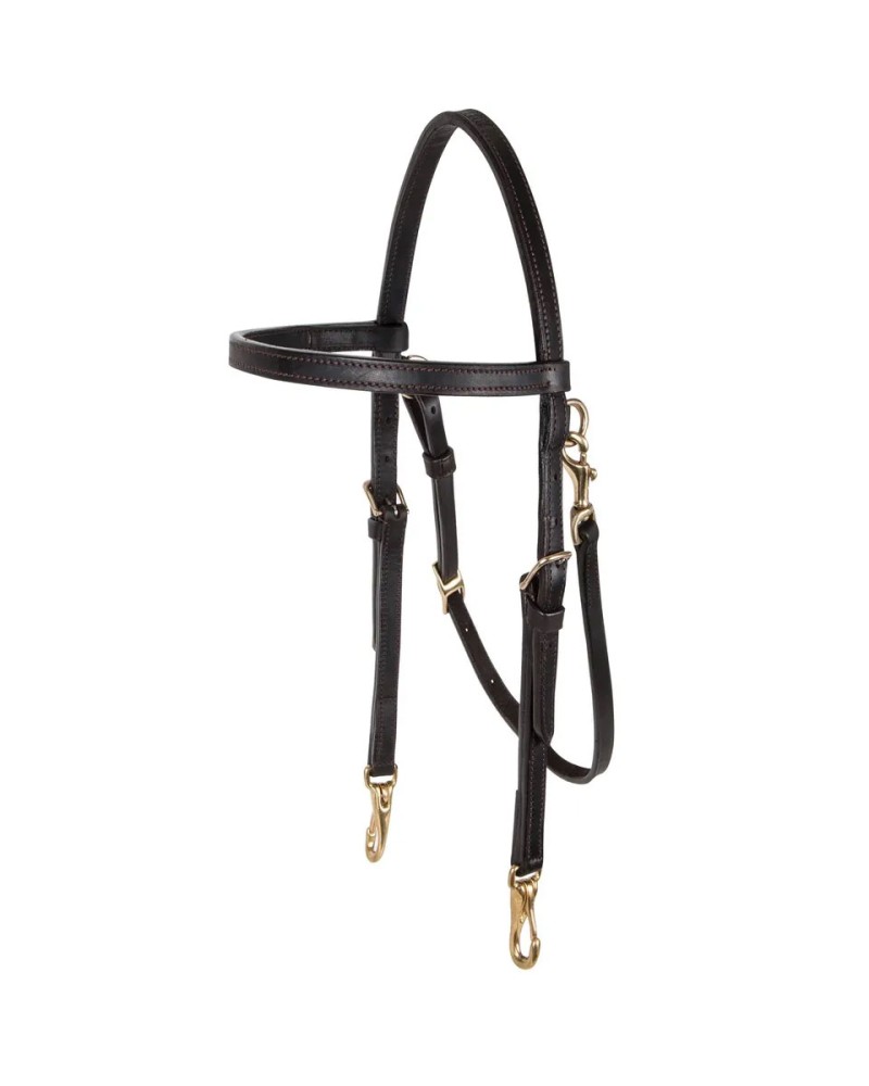 Premier arabian training bridle