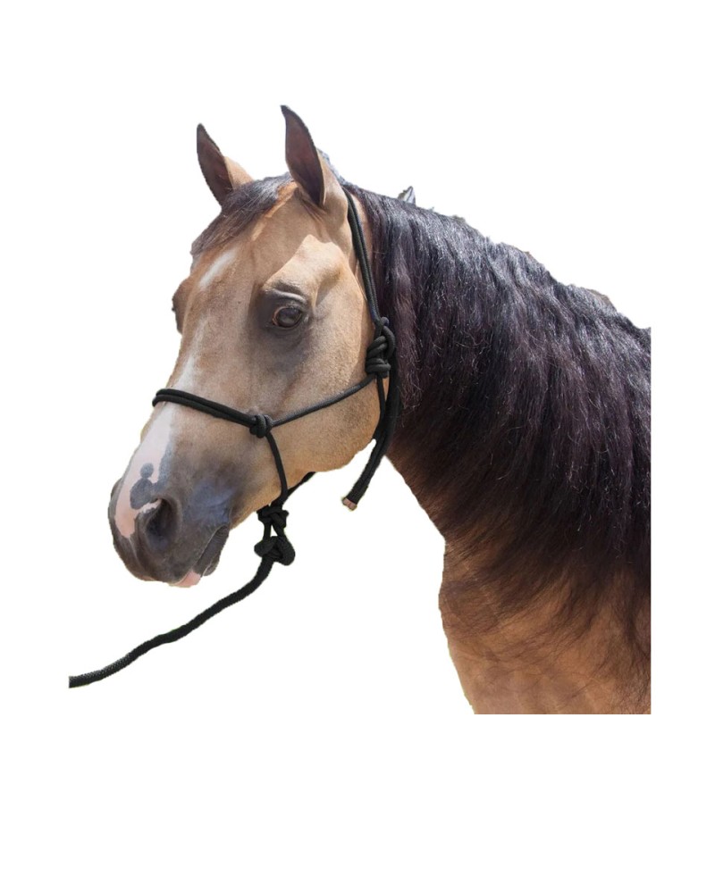 D-Tech rope halter and lead