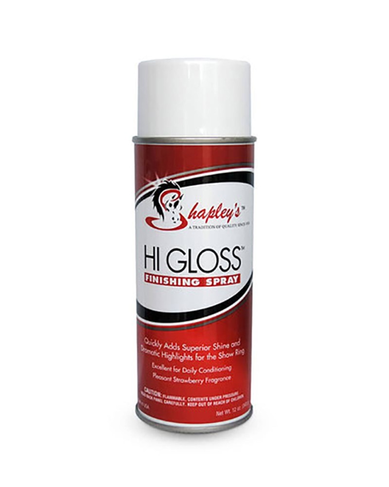 Hi Gloss Finishing Spray