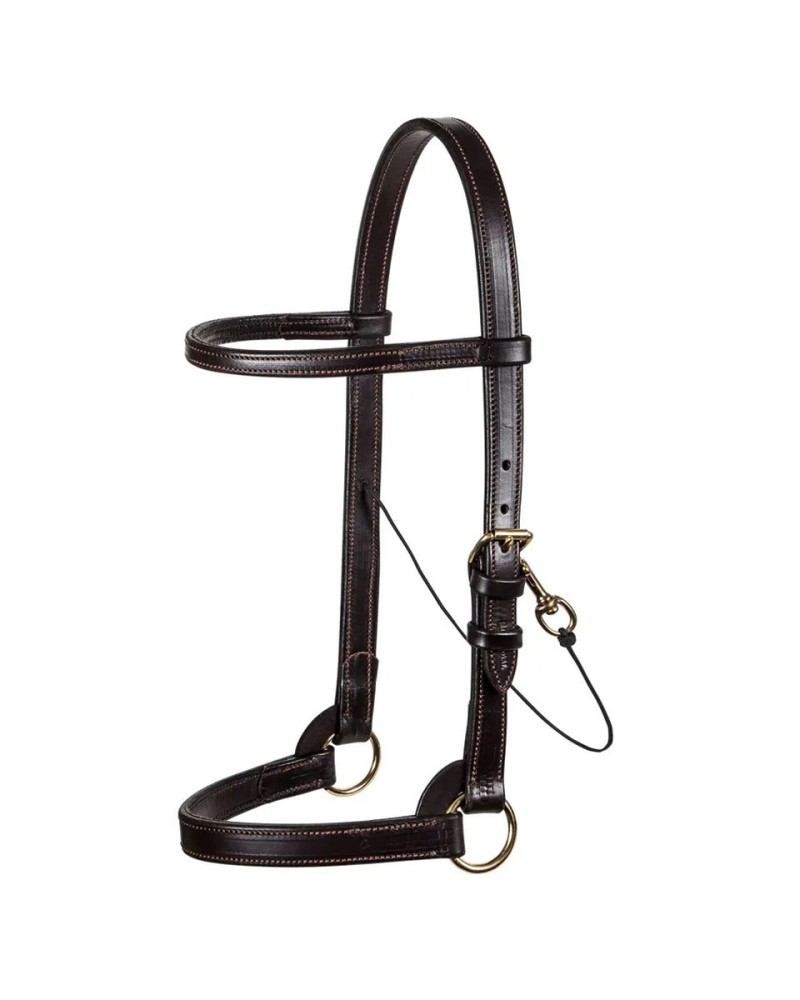 Victor Supreme Arab Training Halter W/Browband 