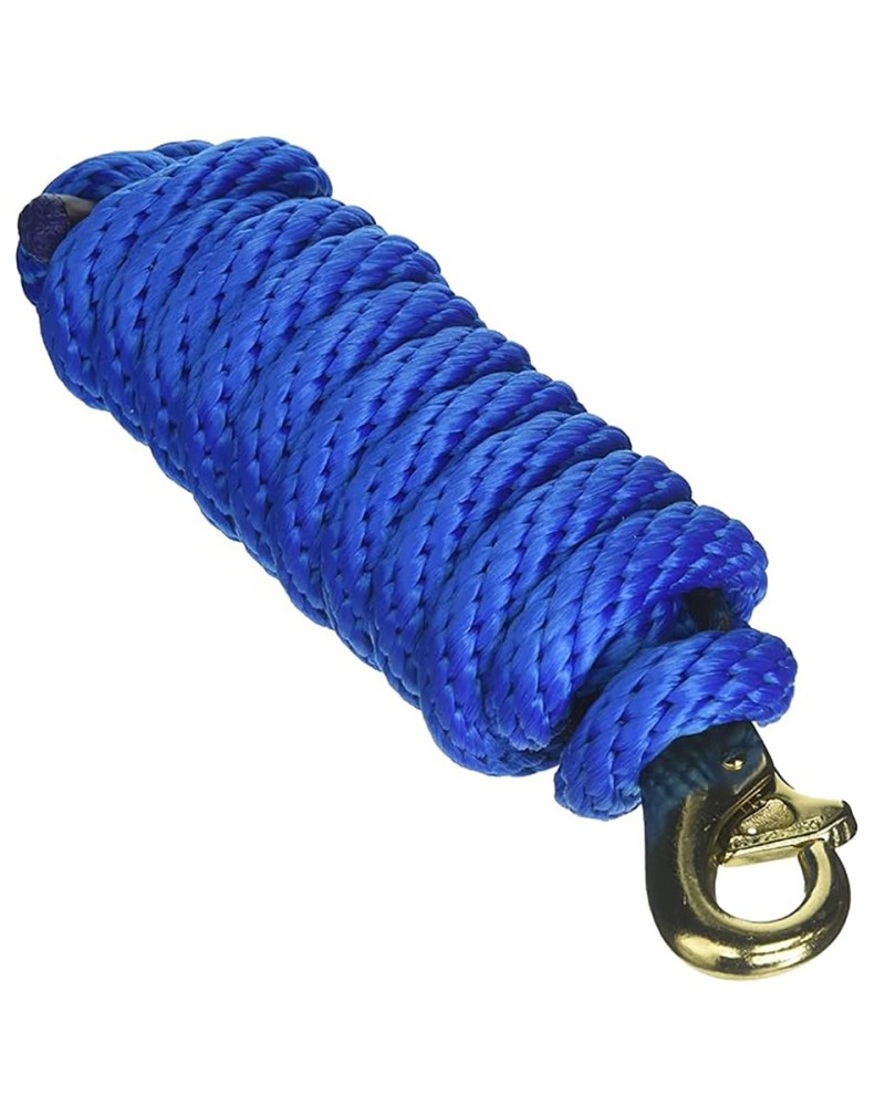 Blue Rope Lead